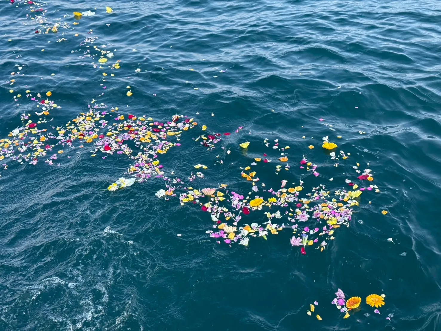 終活応援プランのご依頼を頂きました