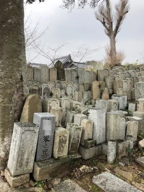 葬儀仏事のこれからについてご住職とお話しました