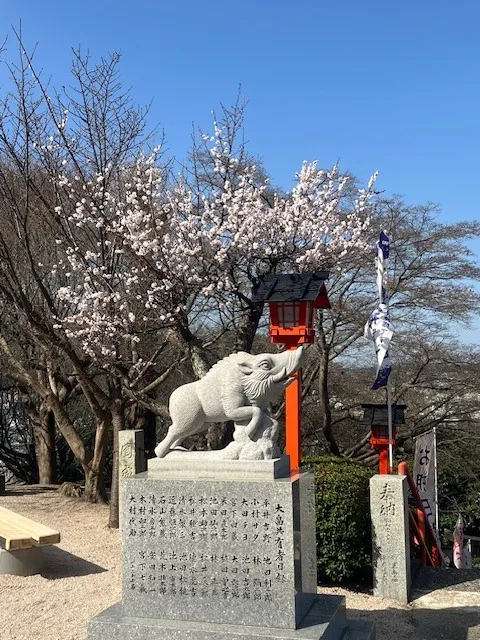 宗教葬儀から自由葬儀へ